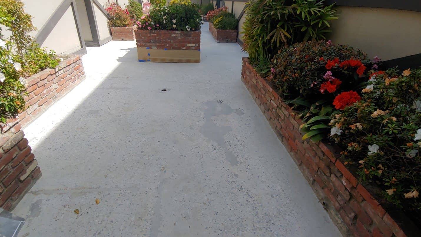 Color stained concrete courtyard, West Los Angeles (3 of 6)