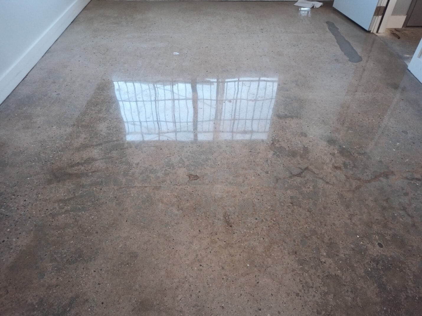 Polished concrete office floor, Los Angeles (6 of 10)