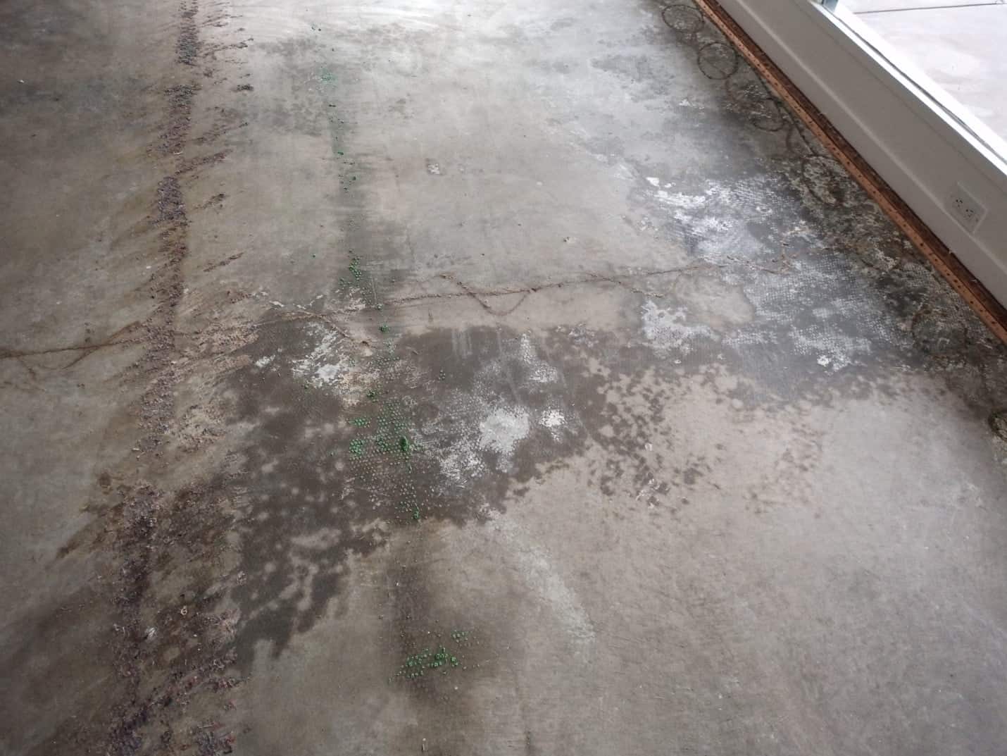 Grind and seal concrete living room floor, Santa Monica (2 of 6)