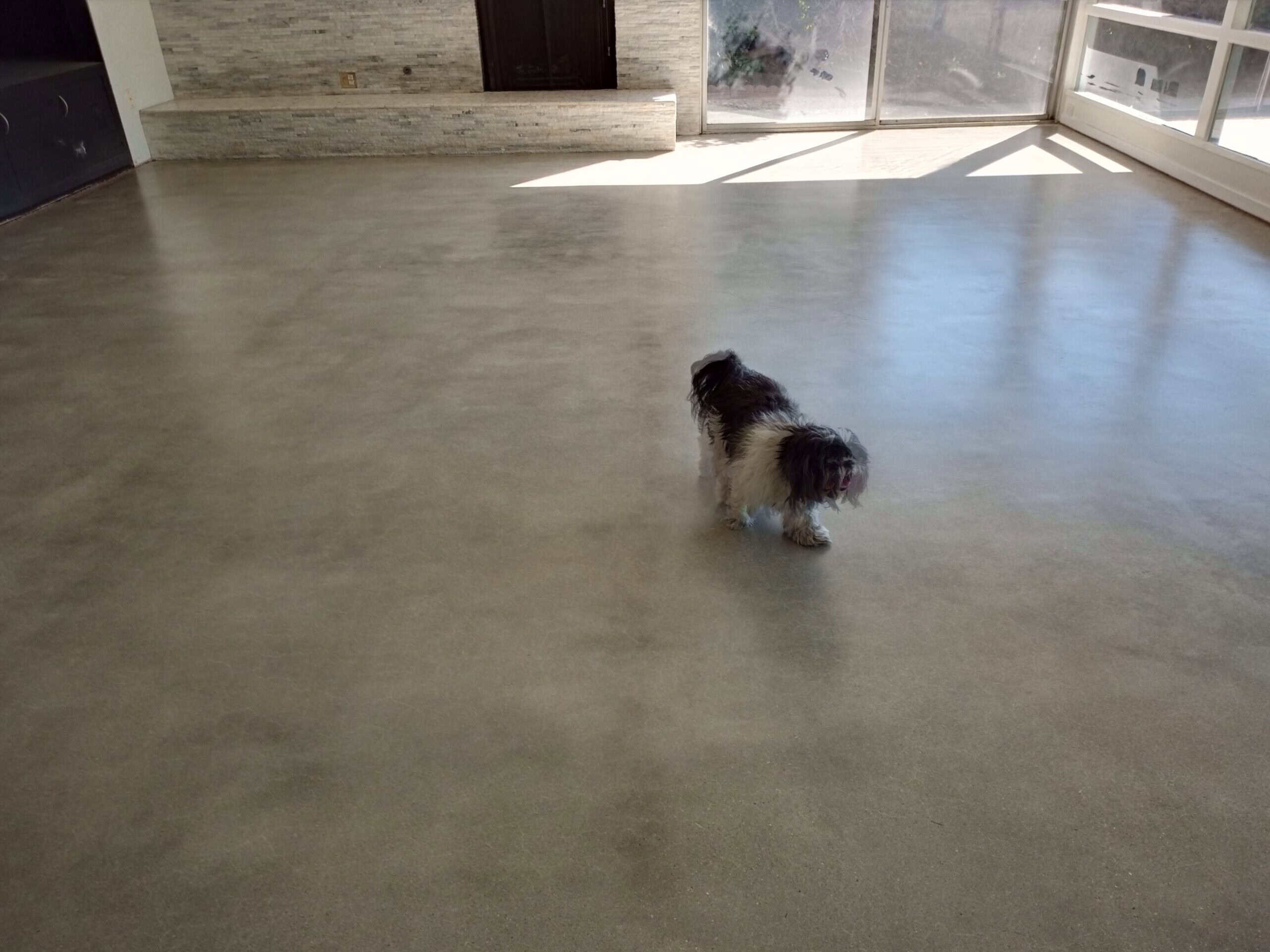 Residential concrete floor after grind and seal