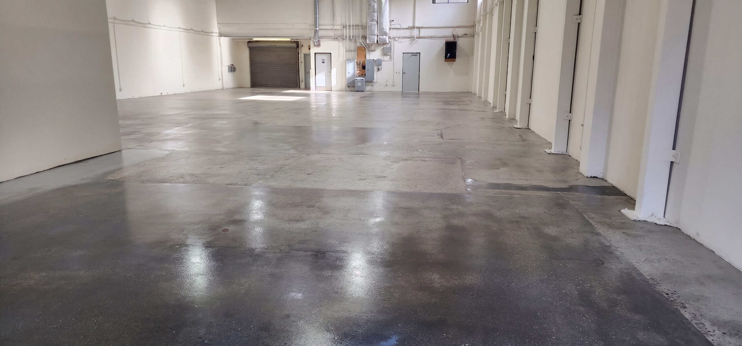 Ground and sealed concrete floor with a soft satin sheen in a commercial space