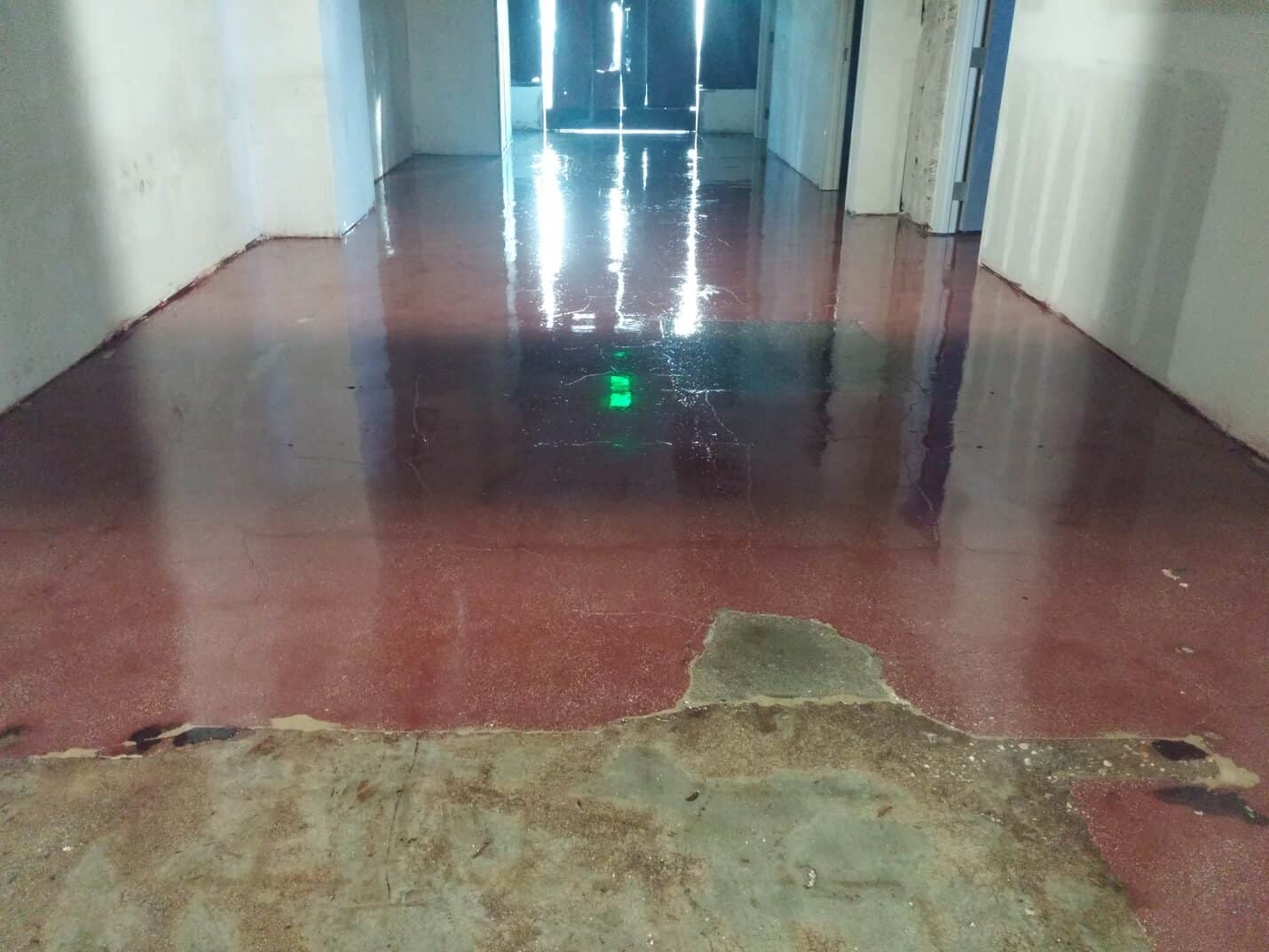 Repaired and coated floor reflecting the ceiling