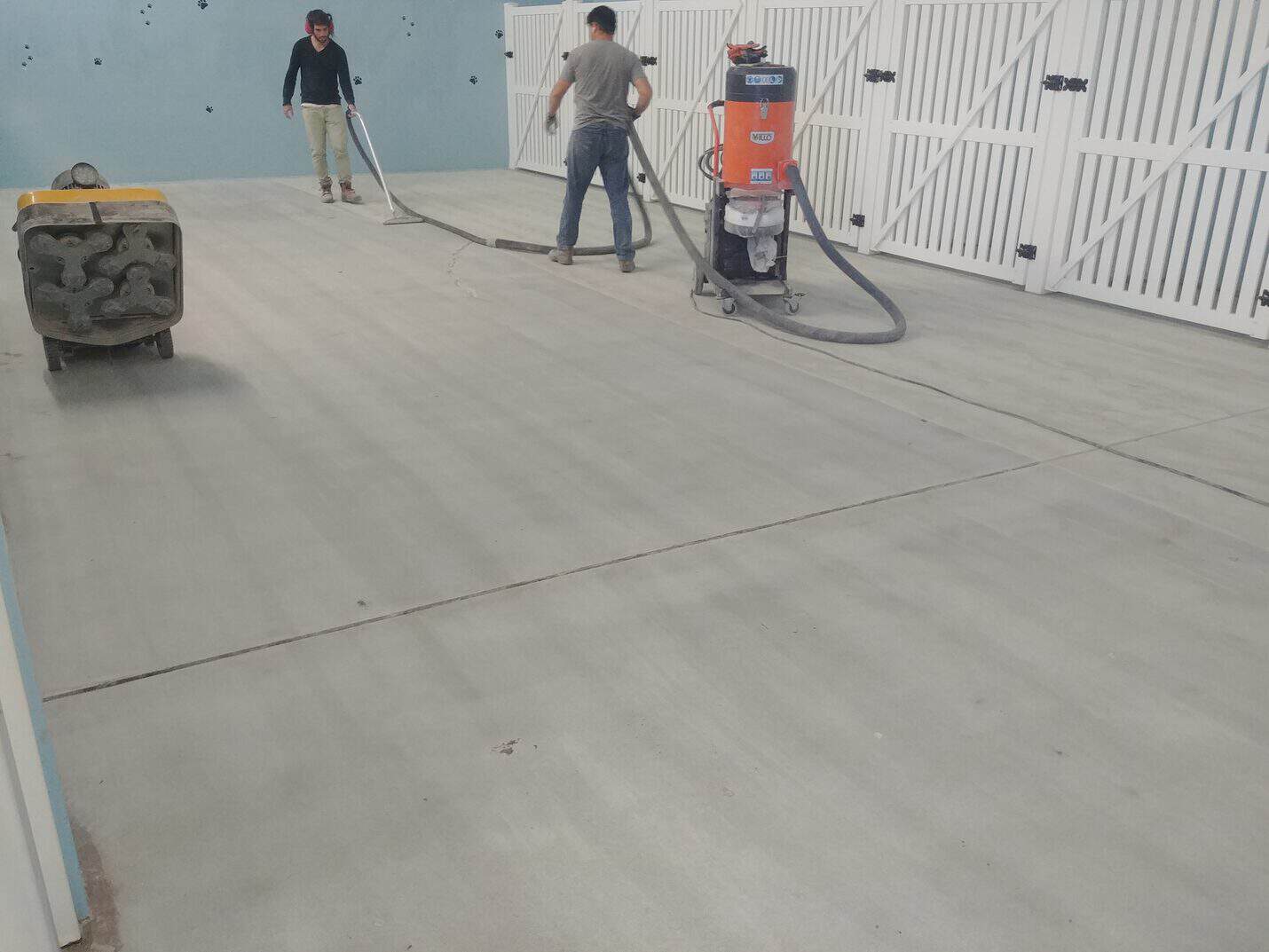 Crew grinding the floor with the kennel gates in place