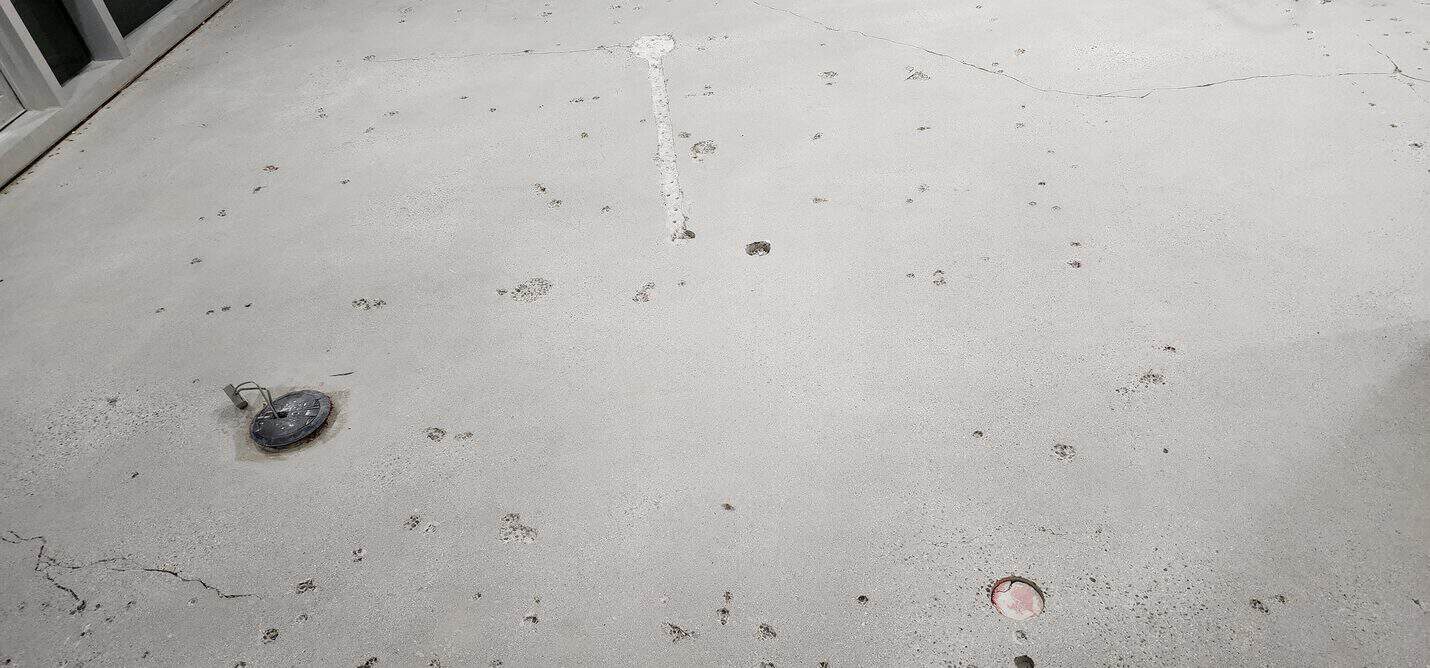 Polished concrete office floor, Beverly Hills (2 of 8)