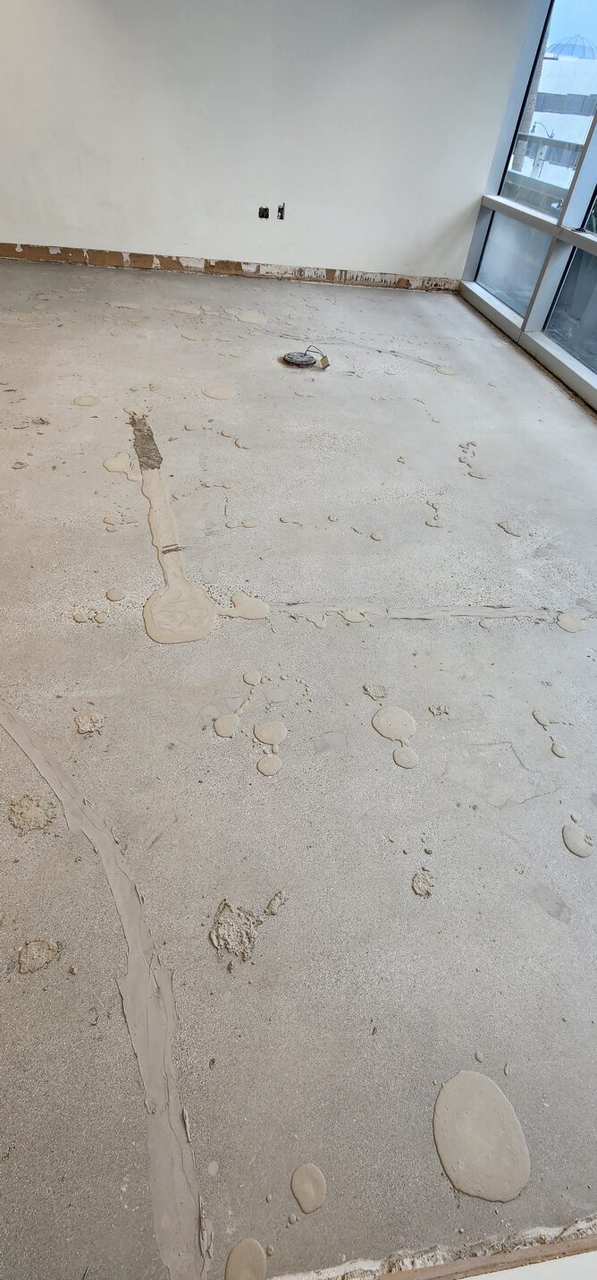Polished concrete office floor, Beverly Hills (3 of 8)