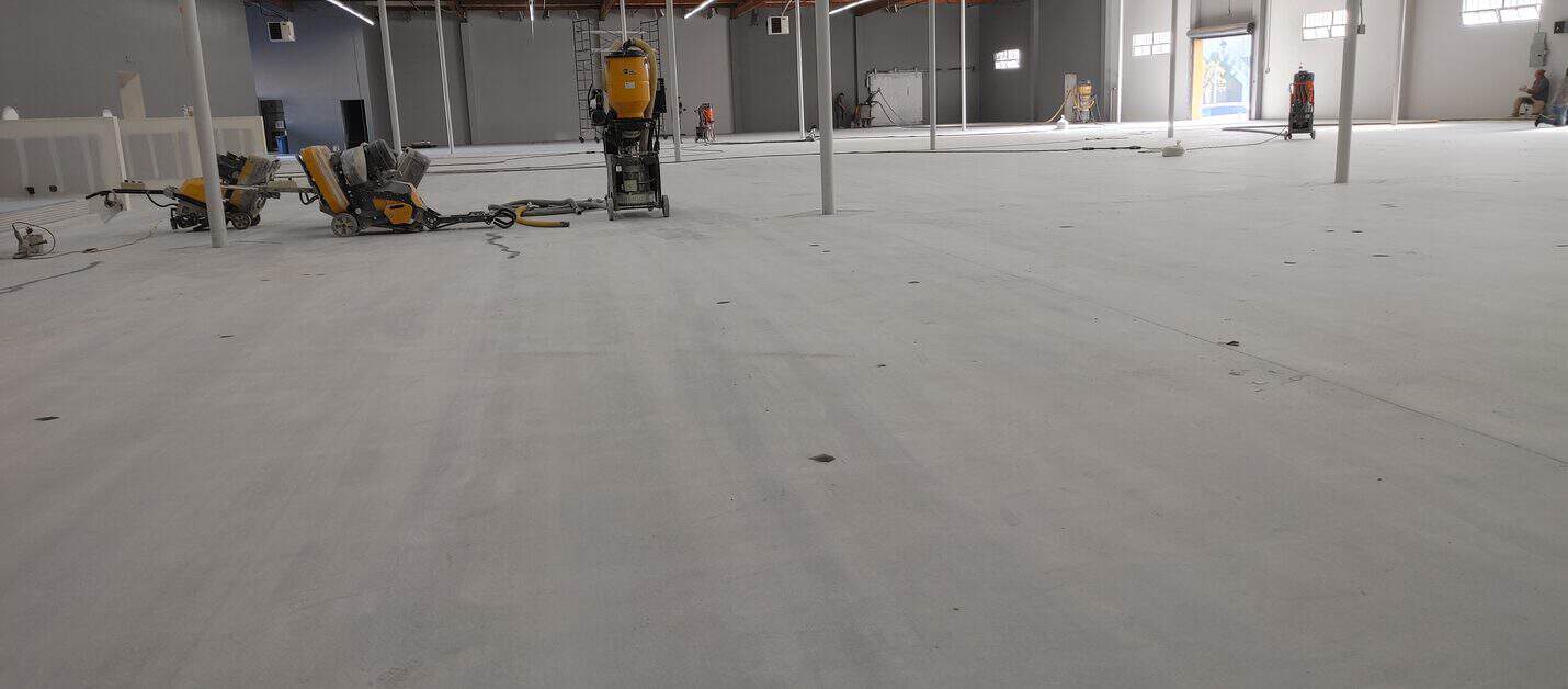 Polished concrete warehouse showroom floor, Hawthorne (4 of 10)